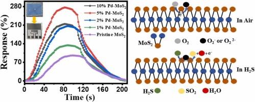 Ultrasensitive and selective room temperature H2S detection using Pd-doped MoS2 synthesized via APCVD