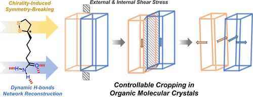 Shear Force Cropping Organic Molecular Crystals Based on Adaptive Hydrogen Bonding Network Reconstructions