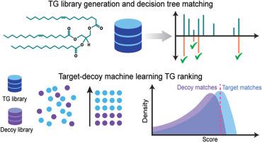 DIATAGeR: Triacylglycerol annotation of data-independent acquisition based lipidomics