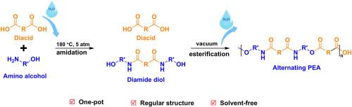 One-pot synthesis of alternating poly(ester amide)s via water-regulated esterification and amidation sequence