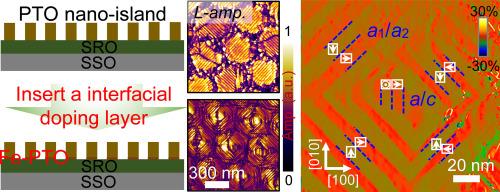Construction of large-area nanoscale hierarchic topological domains