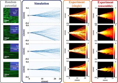 Crossover From Branched Flow to Anderson Localization in Time-Fluctuating Random Potentials