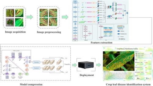 Lightweight crop disease identification network based on frequency domain and channel mixing attention and cross-scale semantic fusion