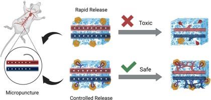 Enhanced safety and potency in local angiogenic growth factor delivery via aptamer functionalization of hydrogels