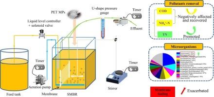 Effects of polyethylene terephthalate microplastics on performance of sequencing-batch membrane bioreactor for simulated municipal wastewater treatment