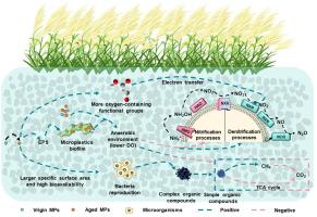Heightened Threat of Aged Microplastics in Constructed Wetlands: Impacts on Nitrogen Cycles and Greenhouse Gas Emissions