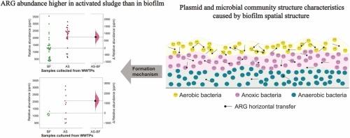 Differential profiles of antibiotic resistance genes in activated sludge and biofilm in wastewater treatment plants