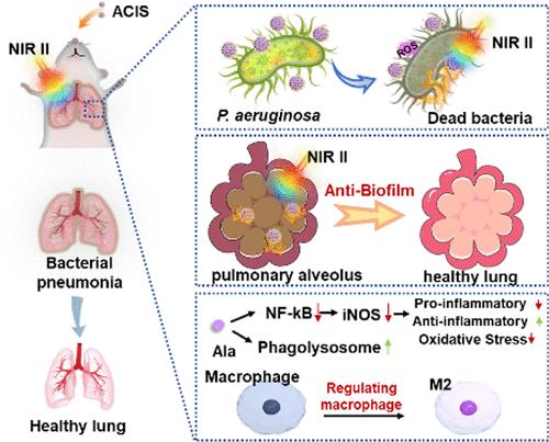 Synchronous Sterilization and Macrophage Regulation for Treating Multidrug-Resistant Pseudomonas aeruginosa-Infected Pneumonia