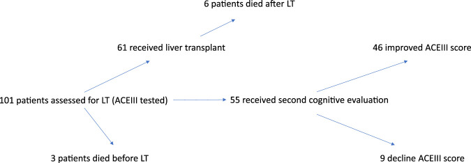 Cognitive Performance in Patients With Alcohol-Associated Liver Disease Undergoing Liver Transplantation.
