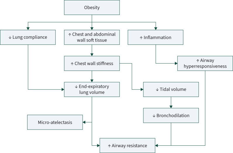 The role of weight management in sleep disordered breathing.