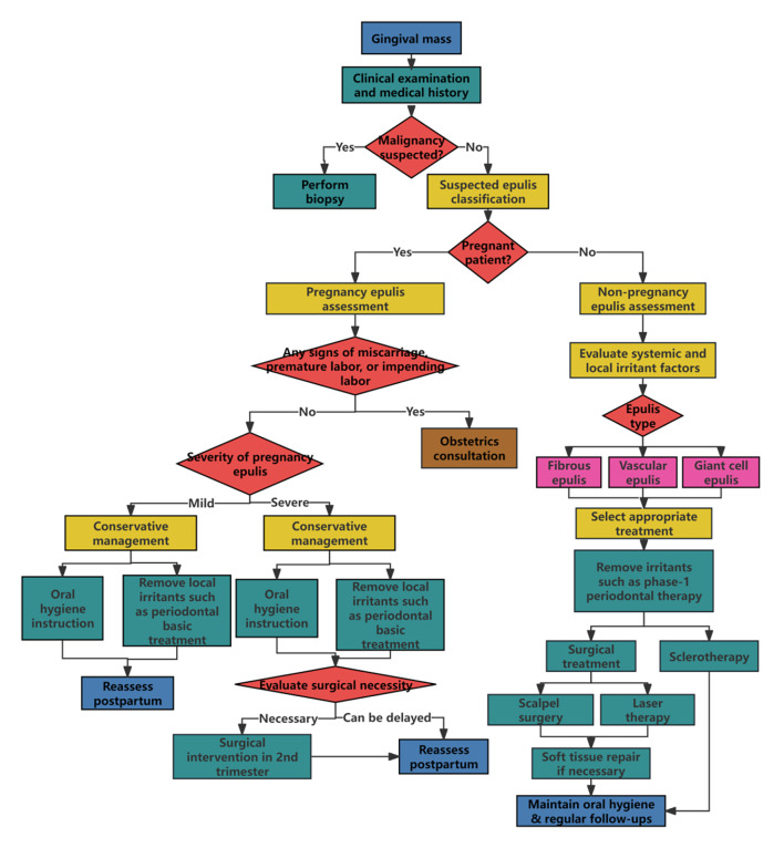 Epulis: A Narrative Review of Epidemiology, Clinical Features, Pathogenesis, and Management.