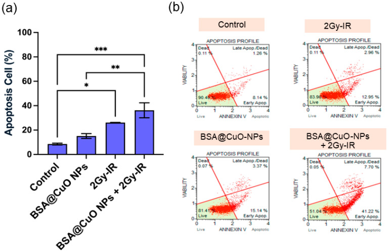 Albumin-Coated Copper Oxide Nanoparticles for Radiosensitization of Human Glioblastoma Cells Under Clinically Relevant X-Ray Irradiation.