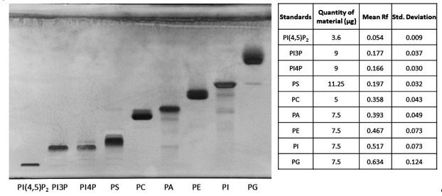 PhosphoLIMBO: An Easy and Efficient Protocol to Separate and Analyze Phospholipids by HPTLC From Plant Material.