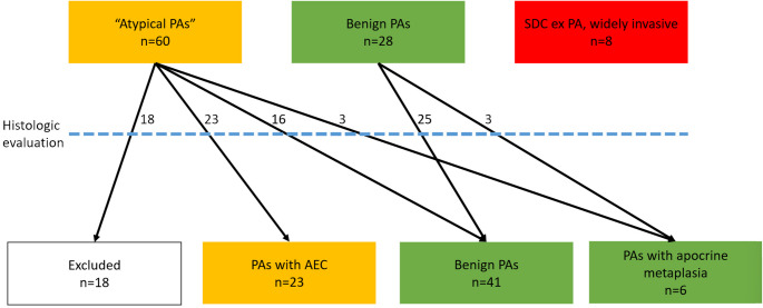 Pleomorphic Adenoma with Epithelial Atypia, Apocrine Metaplasia, and/or In situ/Intracapsular Salivary Duct Carcinoma Are Indolent Lesions with Good Prognosis: A Proposal for Unified Nomenclature and Clinical Observation.