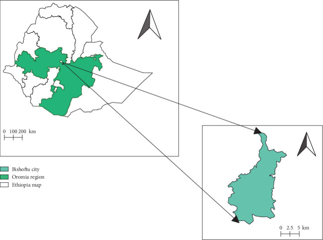 Coprological Detection of Gastrointestinal Nematodes in Intensively Managed Poultry Farms in Bishoftu, Ethiopia.