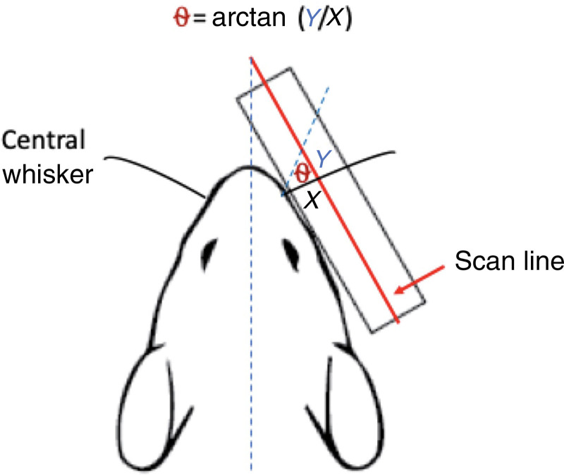 Effect of Platelet-rich Plasma and Brief Electrical Stimulation Following Facial Nerve Neurorrhaphy in a Rat Model.