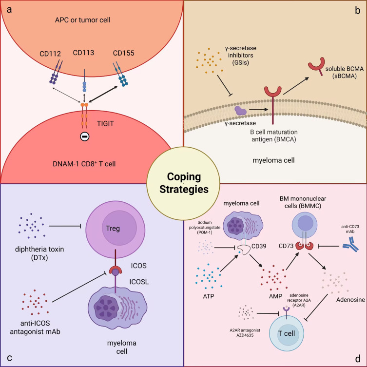 T Cells Dysfunction in Multiple Myeloma.