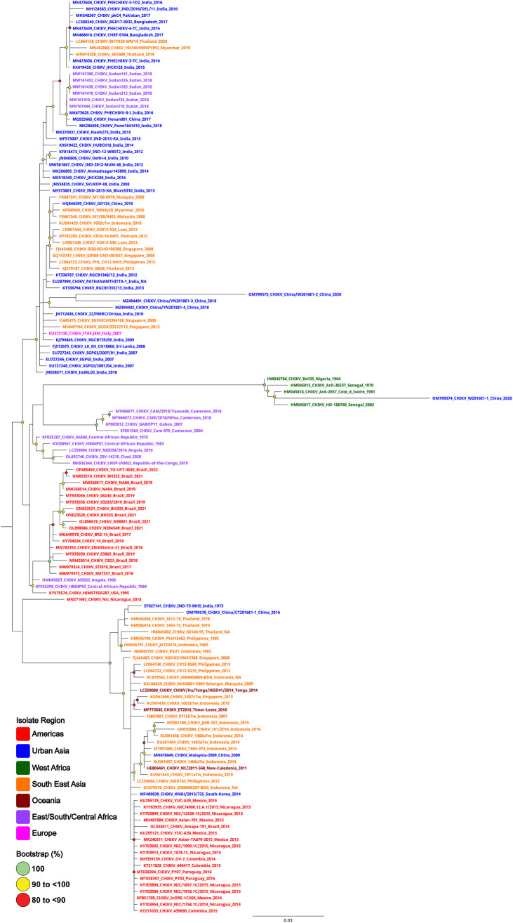 Development and proof-of-concept evaluation for a low resource compatible Chikungunya virus diagnostic.
