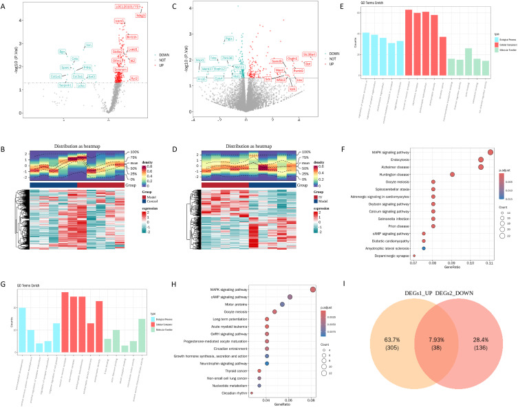 Exploration of Key Genes and Molecular Mechanisms in Mice with Perioperative Neurocognitive Disorders Treated with Remimazolam Based on Transcriptomics and Experimental Verification.