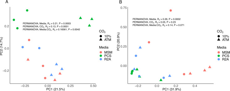 Establishing microbial communities to promote the growth of <i>Pleurotus ostreatus</i> through a top-down approach is hindered by the dominance of antagonistic interactions.