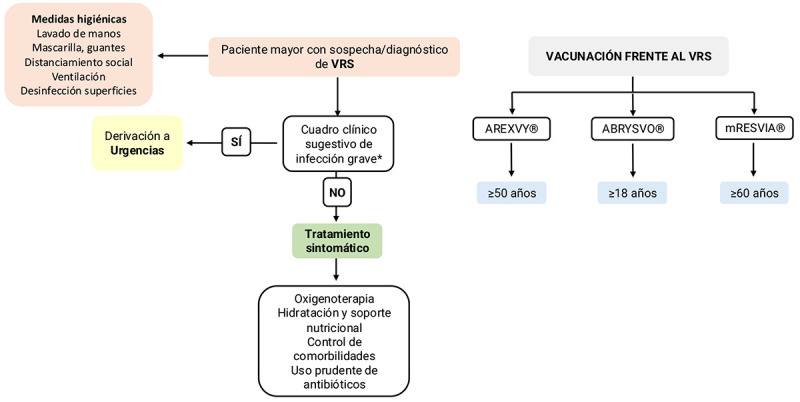 [Recommendations on prevention and treatment of respiratory infections in institutionalised older people].