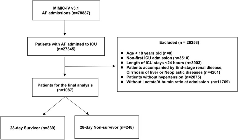 Lactate-to-albumin ratio and 28 day mortality in hypertensive patients with atrial fibrillation: a retrospective cohort study.