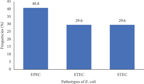 Resistance Profiles and Virulence Factors of Enteric <i>Escherichia coli</i> in Chronic Kidney Disease Patients at Laquintinie Hospital in Douala, Cameroon.