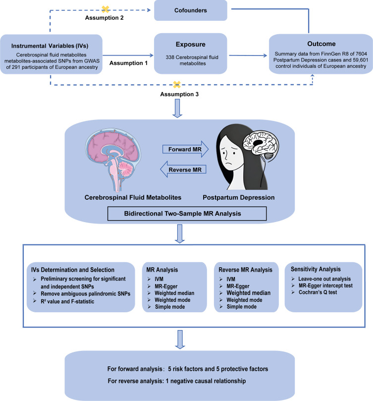 Causal Links Between Cerebrospinal Fluid Metabolites and Postpartum Depression: A Bidirectional Mendelian Randomization Study.