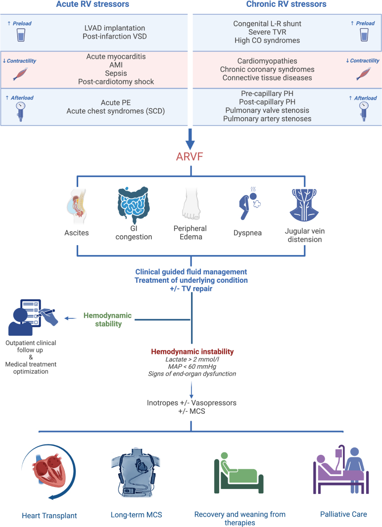 Gaps and Knowledge in the Contemporary Management of Acute Right Ventricular Failure.