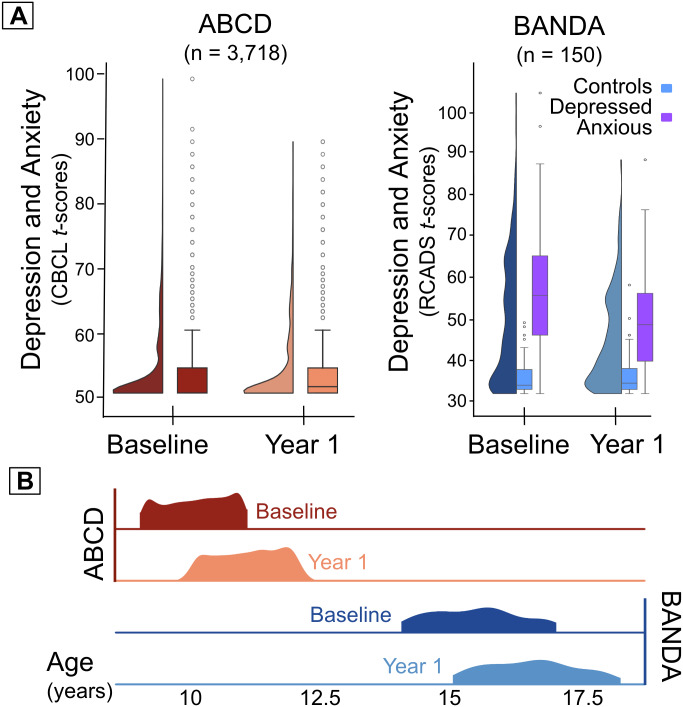 Brain functional connectivity predicts depression and anxiety during childhood and adolescence: A connectome-based predictive modeling approach.