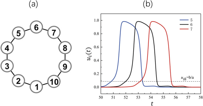 Competitive oscillatory dynamics in excitable neuron networks.
