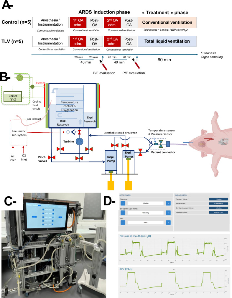 Total liquid ventilation in a porcine model of severe acute respiratory distress syndrome using a new generation of liquid ventilator.