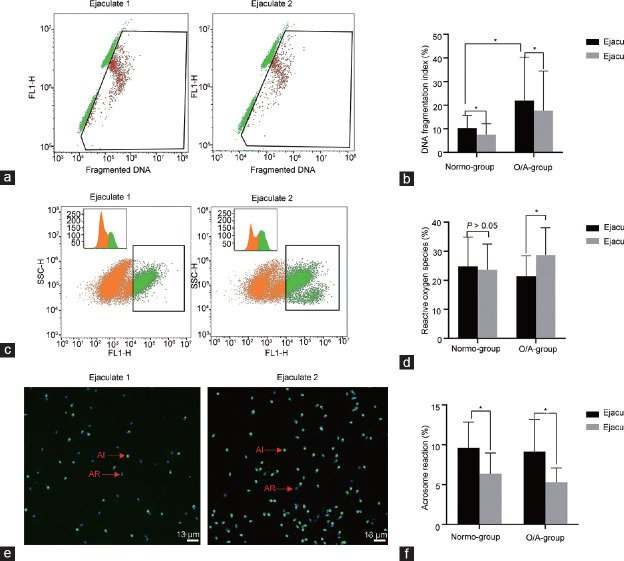 Sperm tRNA-derived fragments expression is potentially linked to abstinence-related improvement of sperm quality.