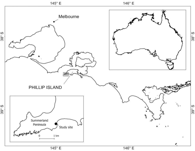 Mass loss, timing and duration of catastrophic moult in little penguins.