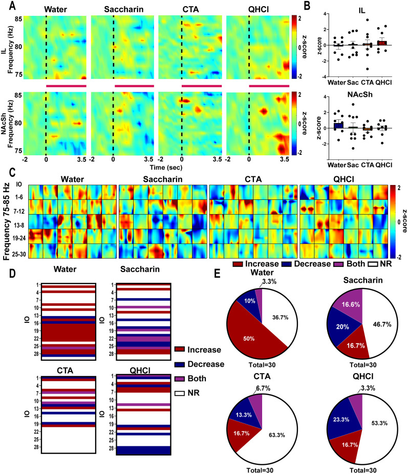 High Gamma Activity in the Infralimbic Cortex to Nucleus Accumbens Shell Pathway Modulates Innate Aversion Differentially across Sex.