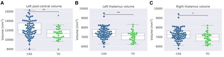 Alterations of the neural substrate in childhood apraxia of speech: new evidence from neuroimaging.