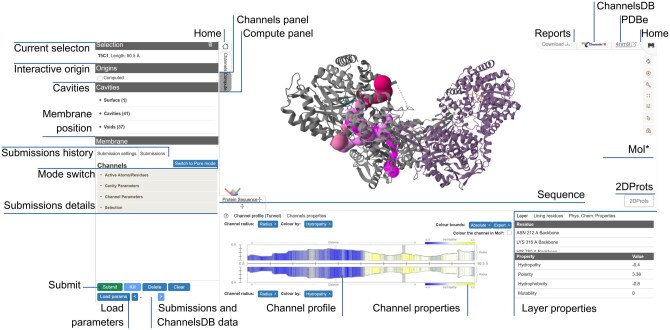 MOLEonline: a web-based tool for analysing channels, tunnels, and pores (2025 update).