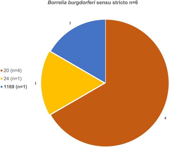 Influence of tick age and land-use on Borrelia burgdorferi s.l. in Ixodes ricinus ticks from the Swabian Alb, Germany.