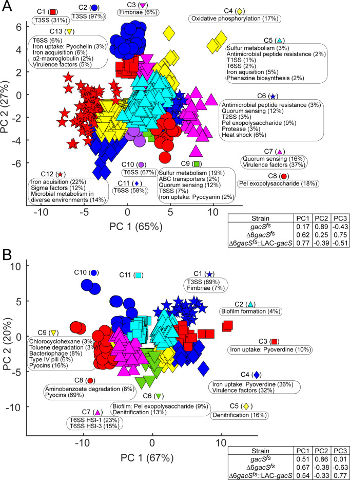 Functional interplay between RND efflux pumps and GacS in <i>Pseudomonas aeruginosa</i>.