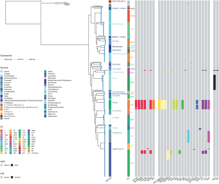 Diversity of Salmonella enterica isolates from urban river and sewage water in Blantyre, Malawi.