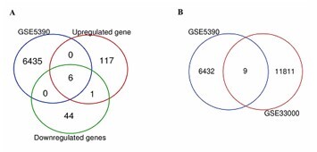 <i>HSPA13</i> gene and microRNA-155: relationship between Down syndrome and Alzheimer's disease.