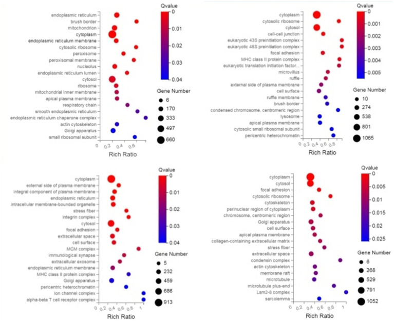 Acquired immunity mechanisms in sheep infected with <i>Nematodirus oiratianus</i>: key genes and host responses.
