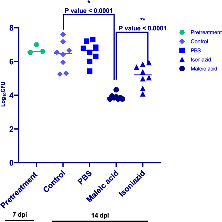 Computational guided identification of novel anti-mycobacterial agent proved by in-vitro and in-vivo validation.