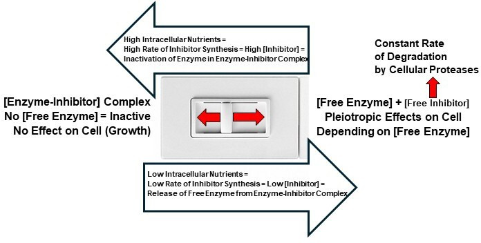 Toxin-antitoxins and sigma factors may optimize the fitness of free-living bacteria throughout the life cycle via an integrated nutrient-responsive cybernetic system.