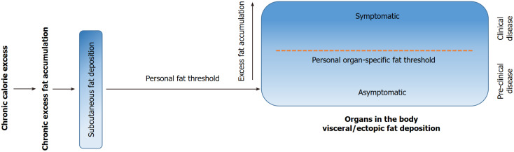Type 2 diabetes mellitus: Isn't it time to update the terminology?