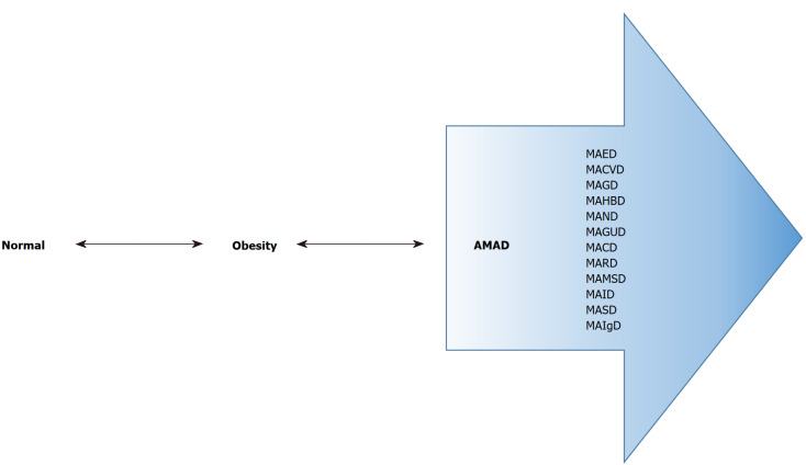 Type 2 diabetes mellitus: Isn't it time to update the terminology?