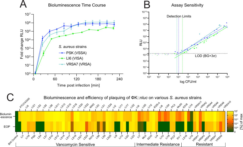 CRISPR-Cas9 enables efficient genome engineering of the strictly lytic, broad-host-range staphylococcal bacteriophage K.