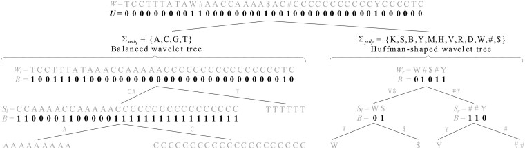 Panaln: indexing pangenome for read alignment.