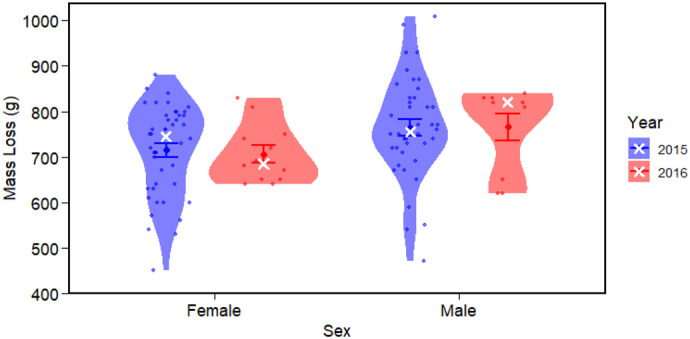 Mass loss, timing and duration of catastrophic moult in little penguins.