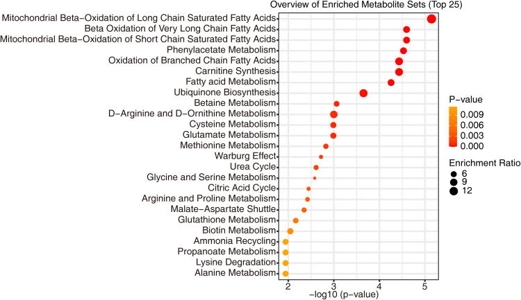 Physiotherapy Reduces Pain and Alters Fatty Acid Biomarkers in Women with Chronic Non-Specific Low Back Pain.